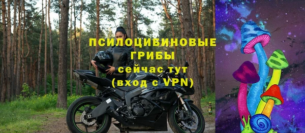 шишки Абинск