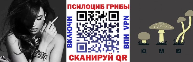 Псилоцибиновые грибы Psilocybe  Красный Сулин 